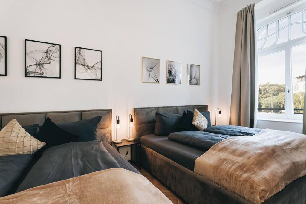 Tip! Design-Apartment In Toplage 75Qm In Szeneviertel Dresden Exterior photo